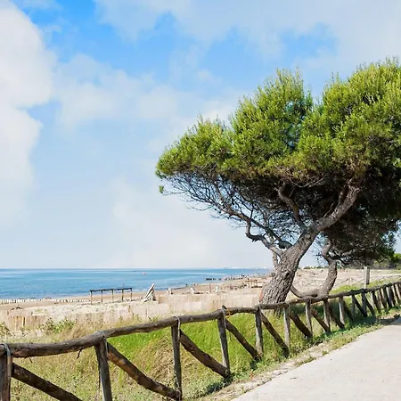 Great Flat 100mt From The Sea Bibione